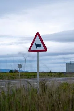 Cattle warning road sign with wind turbine in background Stock Photos