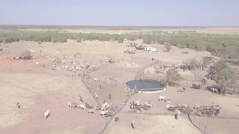 A cattle yard in the Kimberley Region, Western Australia, 4k. Stock Footage