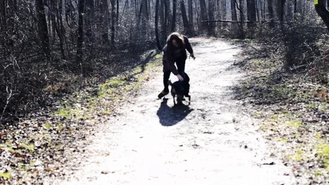 Cattledog Playing in the Woods Stock Footage 86327428