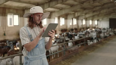 Cattleman using digital tablet for work at goat farm Stock Footage 157586381