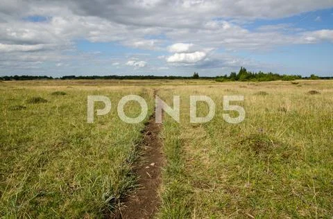Cattles path in a pasture land Stock Photos