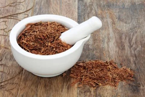 Catuaba Bark Herb Stock Photos