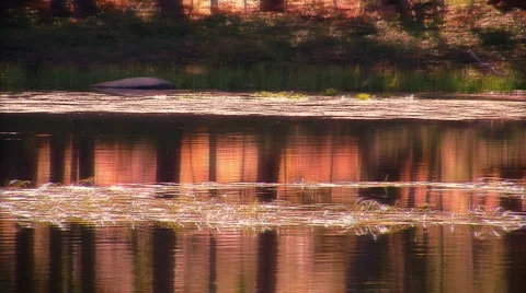 CATV 1051 DREAMY SUNSET YOSEMITE Stock Footage