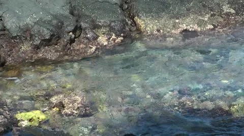 CATV 1131 CORAL SEA Stock Footage