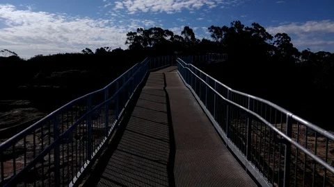 Catwalk in forest. Stock Footage 99614515