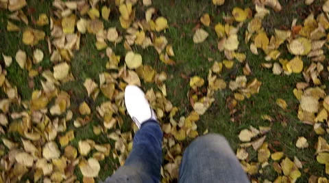 Catwalk model for Yellow fallen leaves in white sneakers Stock Footage 43046414