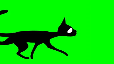 CATWALK,cat walks from left to the right. 動画素材 948521