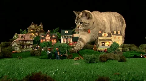 Catzilla Stock-Footage 10914241
