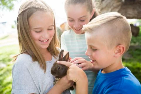 Caucasian boy and girls petting rabbit Stock Photos