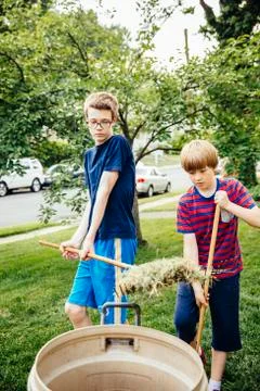 Caucasian brothers raking leaves in front lawn Stock Photos