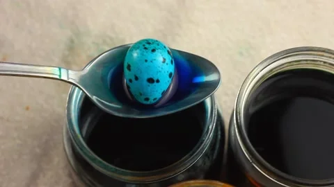 A Caucasian child paints a small Easter quail egg in a speck Stock Footage 146053861