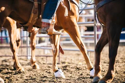 Caucasian cowgirl riding horse on ranch Stock Photos