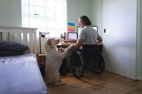 Caucasian disabled man sitting on wheelchair touching his dog while using laptop Stock Photos