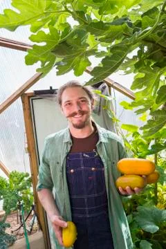 Caucasian gardener picking vegetables in greenhouse 스톡 사진