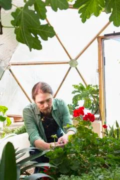 Caucasian gardener working in greenhouse 스톡 사진
