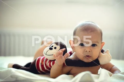 Caucasian girl boy infant newborn baby with stuffed monkey hug toy tummy time Stock Photos