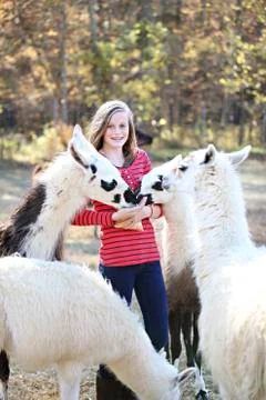 Caucasian girl feeding livestock on farm Stock Photos