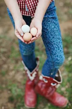 Caucasian girl holding chicken eggs on farm Stock Photos