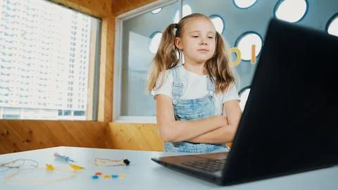 Caucasian girl using laptop programing software while crossing arms. Erudition. Stock Photos