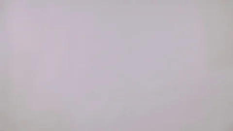 Caucasian happy student Stock Footage 83367485