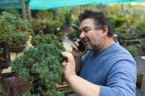 Caucasian male gardener talking by smartphone and touching bonsai tree at garden Stock Photos