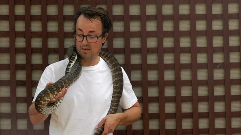 Caucasian male holds a python around his neck for the first time. The Stock Footage 106999443