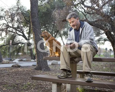 Caucasian Man And Dog Sitting On Picnic Table In Park