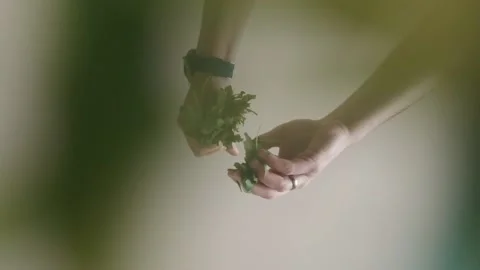 Caucasian man hands rips fresh salat Stock Footage 159549341