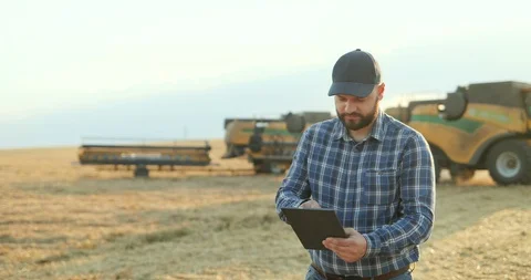 Caucasian man in a hat standing in the field and calculating amount of grain Stock Footage