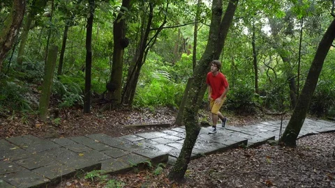 Caucasian Man Hiking on Stone Path in Rainy Forest Stock Footage 106617175
