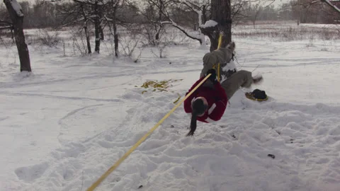 Caucasian man practicing slackline in the winter forest. 스톡 동영상 147156945