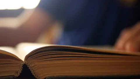 Caucasian man reading, turning old book pages Stock Footage 113206331
