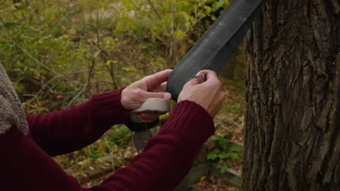 Caucasian man sets slackline between trees in the autumn forest. 스톡 동영상 142253362