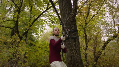 Caucasian man sets slackline between trees in the autumn forest. Stock-Footage 142271637