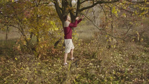 Caucasian man sets slackline between trees in the autumn forest. 스톡 동영상 142281507