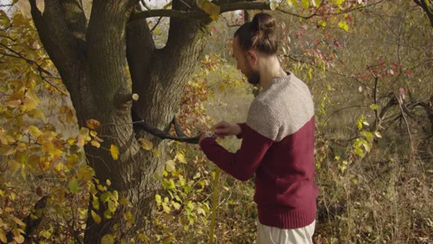 Caucasian man sets slackline between trees in the autumn forest. 스톡 동영상 142284051