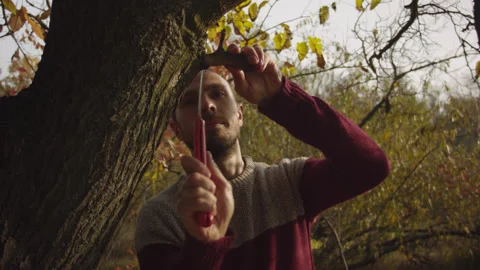 Caucasian man sets slackline between trees in the autumn forest. 스톡 동영상 142284254