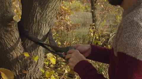 Caucasian man sets slackline between trees in the autumn forest. 스톡 동영상 142284277