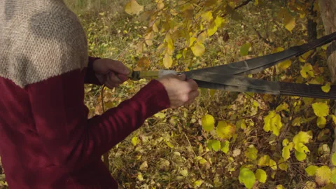 Caucasian man sets slackline between trees in the autumn forest. 스톡 동영상 142300736