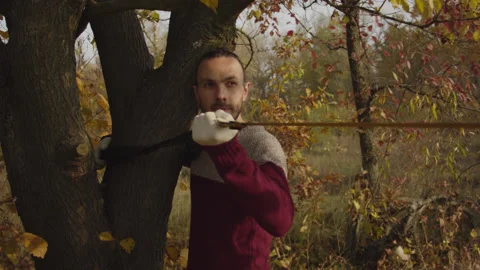 Caucasian man sets slackline between trees in the autumn forest. Stock-Footage 142306563