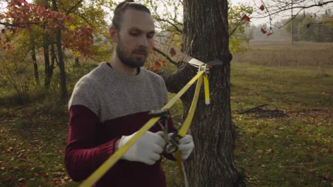 Caucasian man sets slackline between trees in the autumn forest. Stock-Footage 142312610