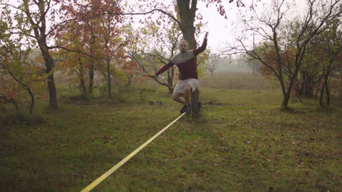 Caucasian man sets slackline between trees in the autumn forest. Stock-Footage 142456714