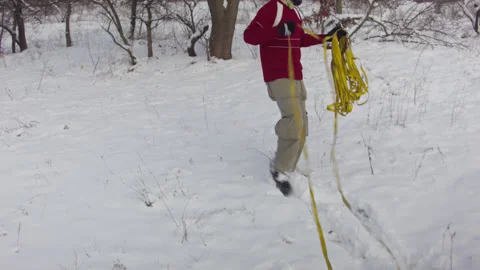 Caucasian man sets slackline between trees in the winter forest. 스톡 동영상 146908876