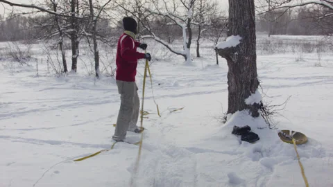 Caucasian man sets slackline between trees in the winter forest. 스톡 동영상 146915051