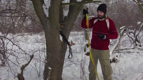 Caucasian man sets slackline between trees in the winter forest. 스톡 동영상 146961605