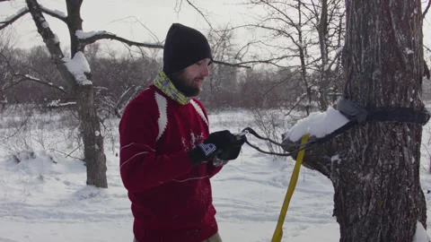 Caucasian man sets slackline between trees in the winter forest. 스톡 동영상 146964007
