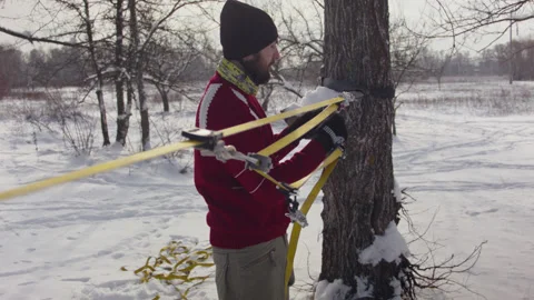 Caucasian man sets slackline between trees in the winter forest. 스톡 동영상 147148855