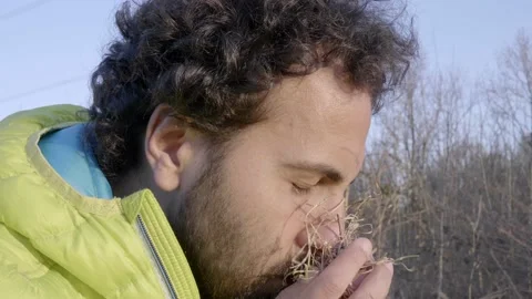 Caucasian man sniffs dry straw. Perception of nature. Video stock 165609737