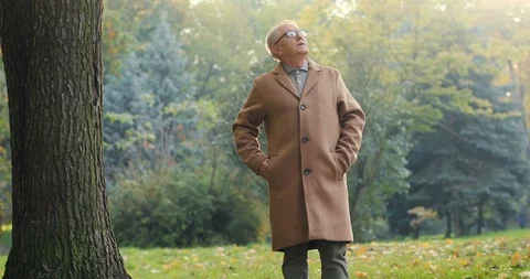 Caucasian man standing in the park at fall and looking up, when his grey haired Stock Footage 101010333