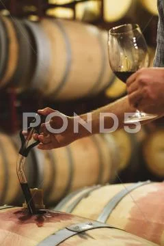 Caucasian man tasting wine Stock Photos